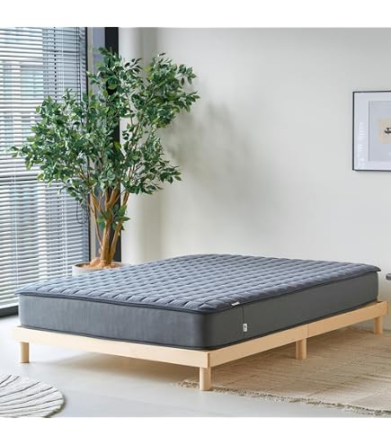 Amazon｜【フランスベッド正規品】 ベッドパッド ベージュ セミダブル