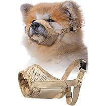 71--rSK9mrL._AC_UL210_SR210,