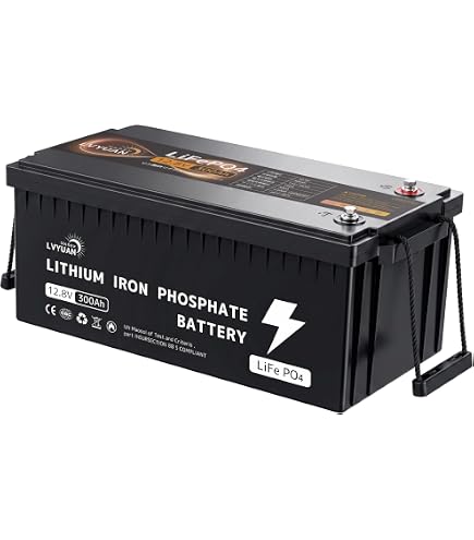 Amazon.co.jp: DATOUBOSS 12V 100Ah LiFePO4 リン酸鉄リチウムイオン