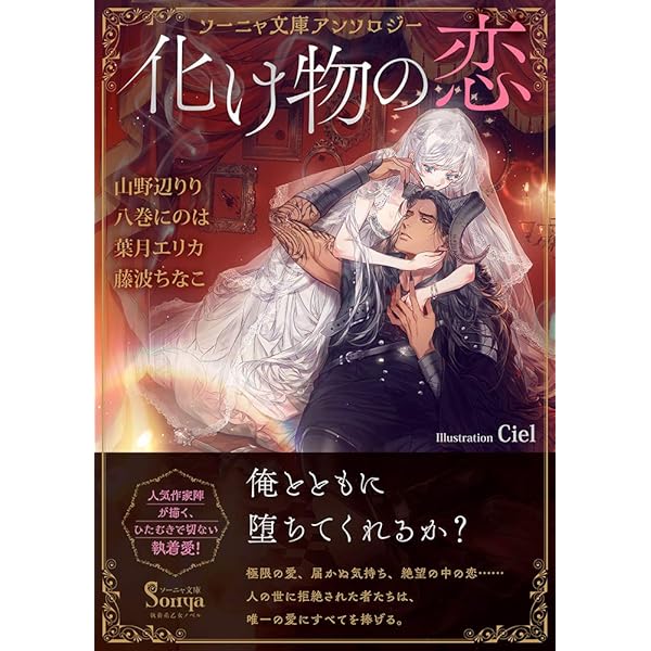 TL小説 文庫本 まとめ売り　100円商品　ソーニャ文庫　アンソロジー TL小説 文庫本 まとめ売り 100円商品 ソーニャ文庫 アンソロジー