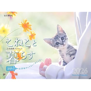Amazon.co.jp 最新リリース: undefined の新着ランキングです。
