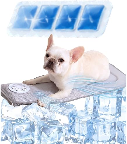 Amazon.co.jp: AIRMON PET（エアモン ペット）送風型循環クールマット