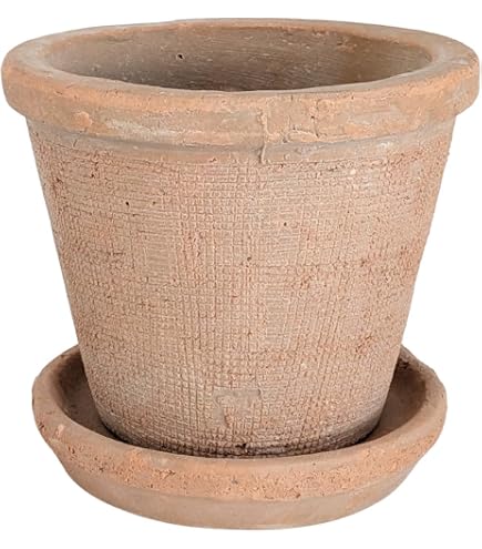 Amazon.co.jp: 鉢 KANEYOSHI 【日本製/安心の国産品質】 陶器 植木鉢