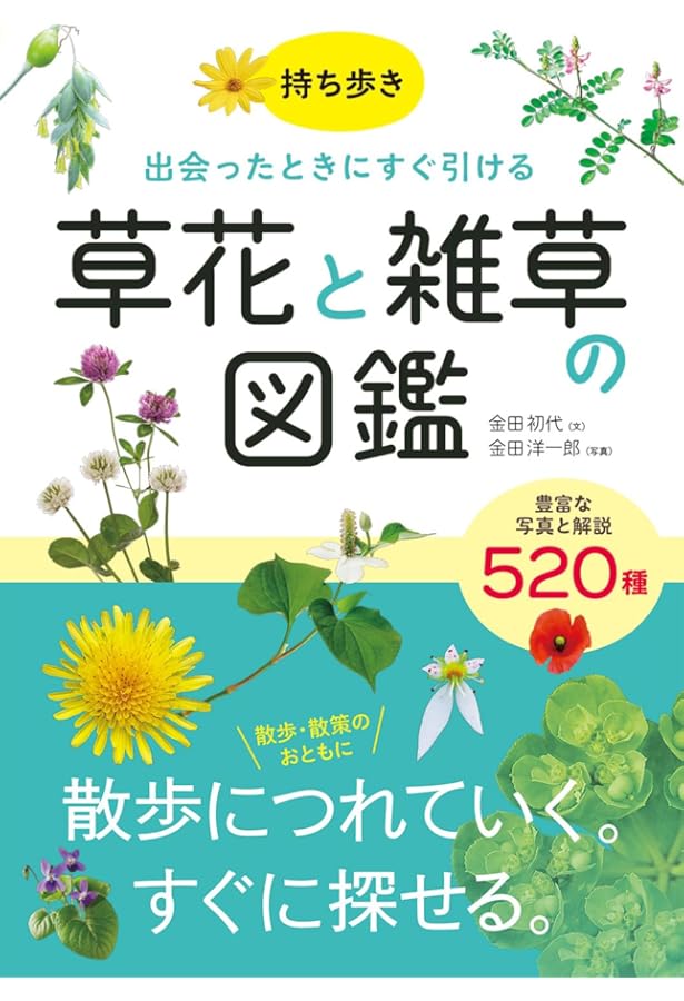 最新版 街でよく見かける雑草や野草がよーくわかる本 (Handy & Color
