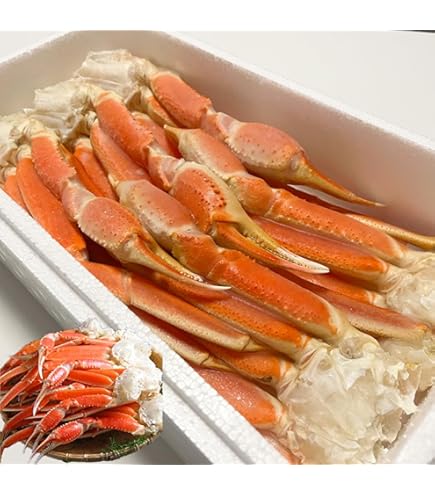 Amazon.co.jp: 冷凍 ボイルズワイガニ 脚 セクション 5kg L 200-250g