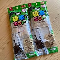 奇虫　標本　2個セット 71-GMwQVMoL._AC_UL210_SR210,