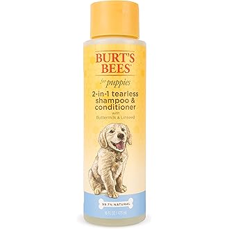 dachshund puppy shampoo