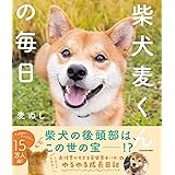 柴犬麦くんの毎日