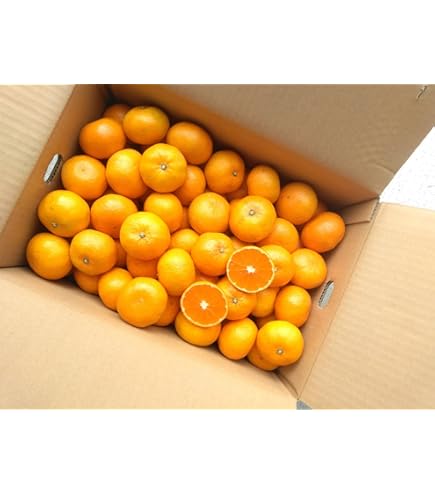 Amazon.co.jp: 高知産 山北みかん 2S,3Sサイズ 約5Kg 小粒サイズ