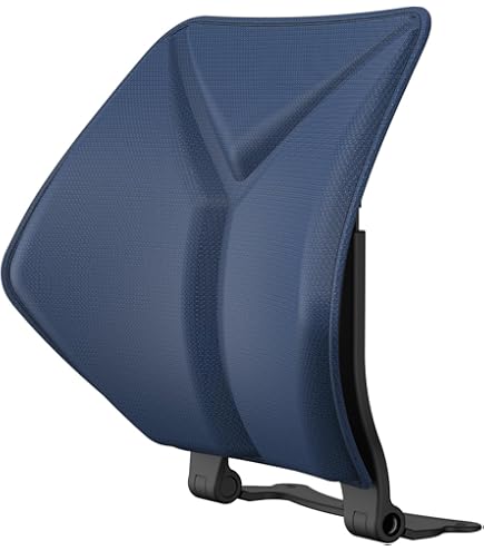 【EAVY】ランバーサポート 骨盤矯正 姿勢矯正 骨盤サポート チェア Amazon｜EAVY(イービー) ランバーサポート 骨盤矯正 姿勢矯正