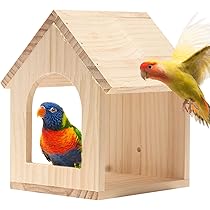 うめりんご❤️小鳥用 ゆらゆらハウス ツボ巣タイプ 楽天市場】鳥の巣（ペット・ペットグッズ）の通販