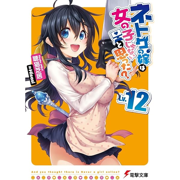 Amazon.co.jp: ネトゲの嫁は女の子じゃないと思った? Lv.9 (電撃文庫