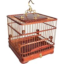 71-T2LV3VXL._AC_UL210_SR210,