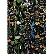 Amazon.co.jp: ここはこどものいない国 : 武田 綾乃: 本