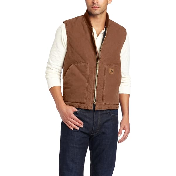 Amazon | Carhartt メンズ ビッグ&トールサイズダックベストアーク