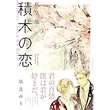 新装版 積木の恋 (単行本)