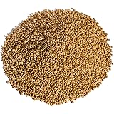 イエロー マスタード シード 原形 スパイス ハーブ 業務用 mustard 黄色 カラシナ からし 辛子 芥子 (1kg)