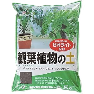 グリーンプラン 培養土 観葉植物の土5L