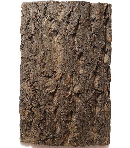 コルク コルク板 板付け 大型 樹皮素材 3点の セットです。 板付け用コルク / ビカクシダ / エアプランツ / 長辺約20cm