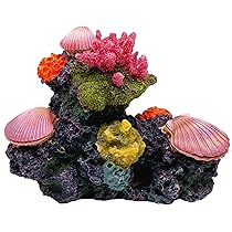 シャコガイ 貝殻 オウギガイ 置物 玄関 アクアリウム 水槽 庭 鉢 観葉植物 シャコガイ 貝殻 オウギガイ 置物 玄関 アクアリウム 水槽 庭 鉢