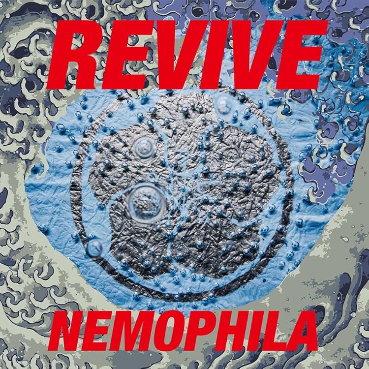 ま*う様 美品 NEMOPHILA 『EVOLVE』限定盤 直筆サイン入りCD EVOLVE」【初回限定盤A】NEMOPHILA SHOP限定セット ＜サンダルM