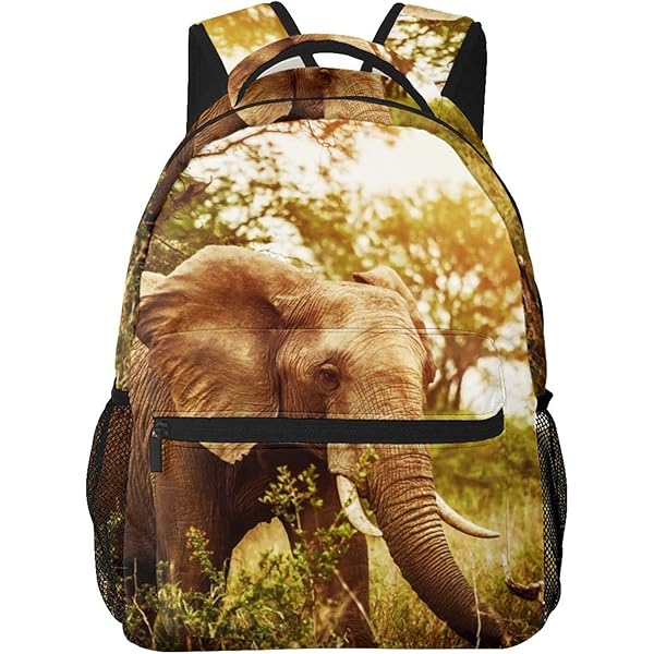 Amazon.co.jp: かわいい ラグドール猫 リュック レディース