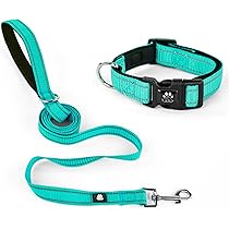 中型犬用首輪とリード　未使用 HD024007犬 リード 首輪とリード一体型 P型リード 120-150cm