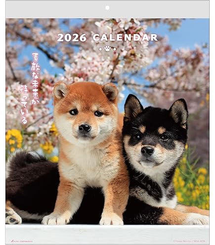 Amazon | アクティブコーポレーション 2026 カレンダー 壁掛け DOG