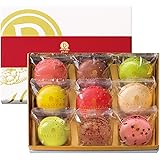 DALLOYAU ダロワイヨ 季節のマカロン詰め合わせ (9個入)
