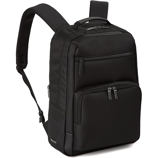 ACE エース イグニス2 ビジネスリュック B4 15.6インチ マチ拡張 WEB限定】ACE イグニス2ビジネスリュック B4 14インチ 15861(01