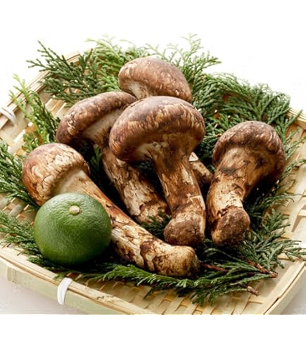 Amazon.co.jp: まつたけ 松茸 マツタケ 中国産松茸 約200g 市場直送(gn