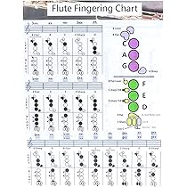 CHOROi C-フルート　ドイツ運指 clarinet ホビー・楽器・アート CHOROi C-フルート ドイツ運指