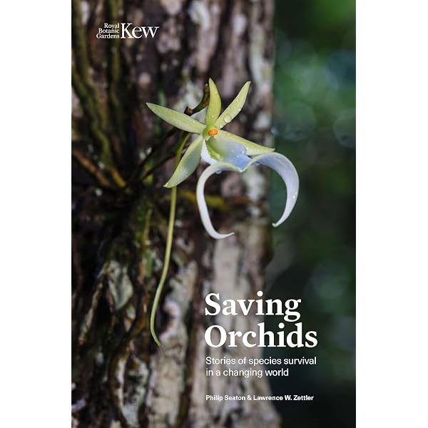 Amazon | Orchid Species Culture: Dendrobium | Baker, Charles O