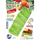 シンカテック 抗菌ベジカベ G-レタス 約131×50×22㎜ グリーン