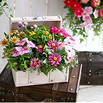 71-nXZKeAAL._AC_UL210_SR210,