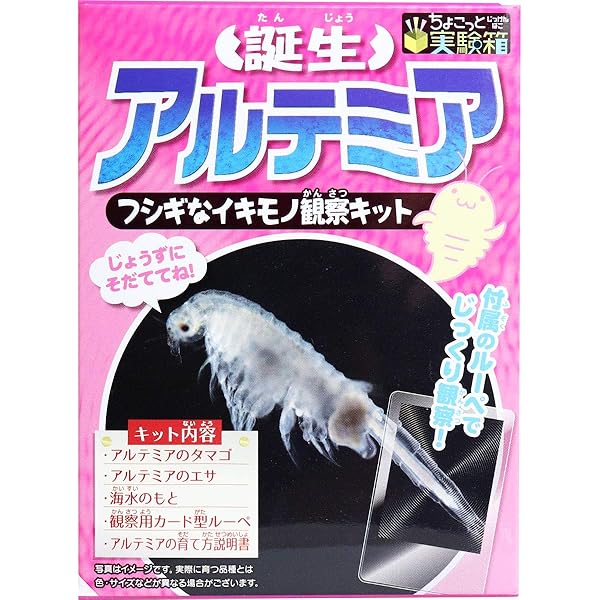 Amazon ニチドウ アルテミアの卵セット ニチドウ 飼育セット 通販
