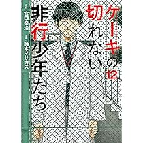 ケーキの切れない非行少年たち 「子供を殺してください」という親たち ケ－キの切れない非行少年たち / 宮口 幸治【著】 - 紀伊國屋書店