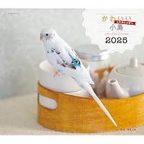 カレンダー2025 かわいんこ インコと小鳥のカレンダー（月めくり 