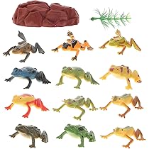 Amazon.co.jp: カエルフィギュア 蛙モデル おもちゃ 生体爬虫類
