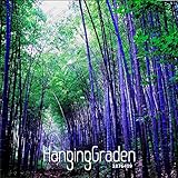 ベストセラー！レア紫ティモール竹の種子ホウライチク属黒竹の種植えた中庭李100 PCS /バッグ、＃のQM1EE7