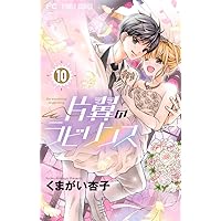 片翼のラビリンス コミック 全10巻 完結セット n5ksbvb