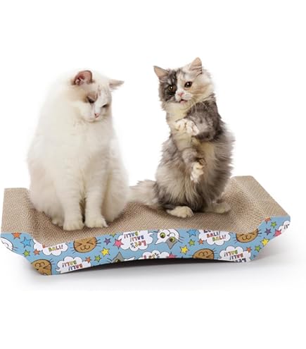 Amazon.co.jp: お キヨ アクキー アクスタ キヨ猫 3点セット