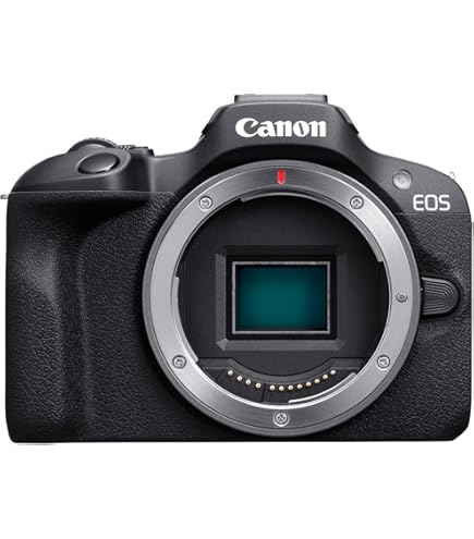 Canon ミラーレス一眼カメラ RF 24-105mm EOS R6 Mark II・RF24-105L IS USM レンズキット ミラーレス一眼