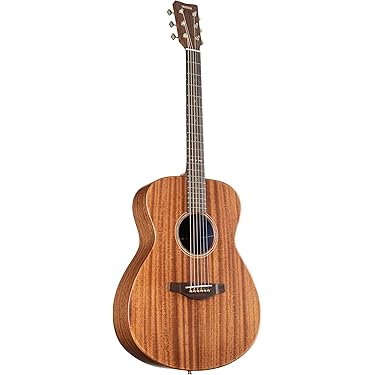 Amazon.co.jp 人気ギフトランキング: エレアコギター で、ギフトの設定