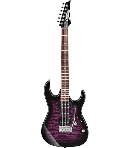 Amazon | Ibanez(アイバニーズ) GIOシリーズ エレキギター Black Night