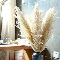 7101yYqXWeS._AC_UL210_SR210,