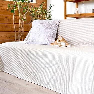 Amazon.co.jp 最新リリース: ソファカバー・マルチカバー の新着