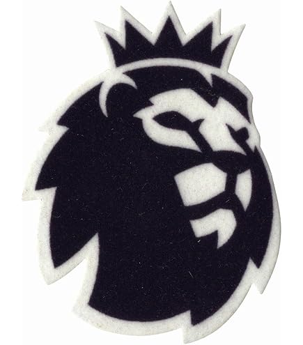 Amazon.co.jp: 小物 Jリーグ x FC東京 ワッペン 1枚 (A) : スポーツ