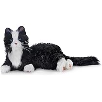 Amazon.co.jp: Chongker 加重4.5ポンド ぬいぐるみ ハンドメイド