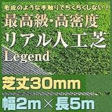 最高級 リアル 人工芝 「レジェンド」 芝丈30mm《2m×5m》 【防炎認証済】